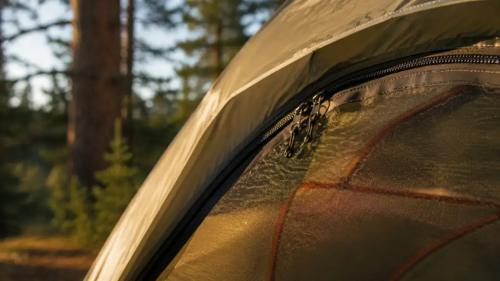 Campsite at dusk with the Coleman Sundome tent lit from inside, warm glow through the fabric