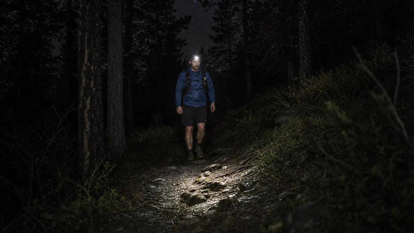Hiker on a night trail with a headlamp illuminating the path ahead through dense trees